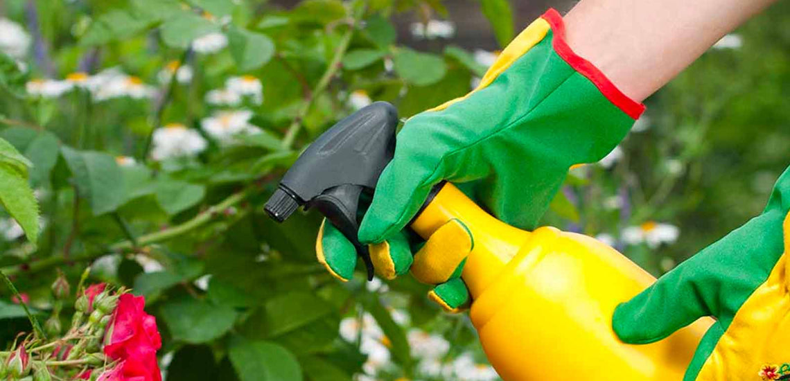 ¿Plagas en tu jardín? Elige el insecticida ideal