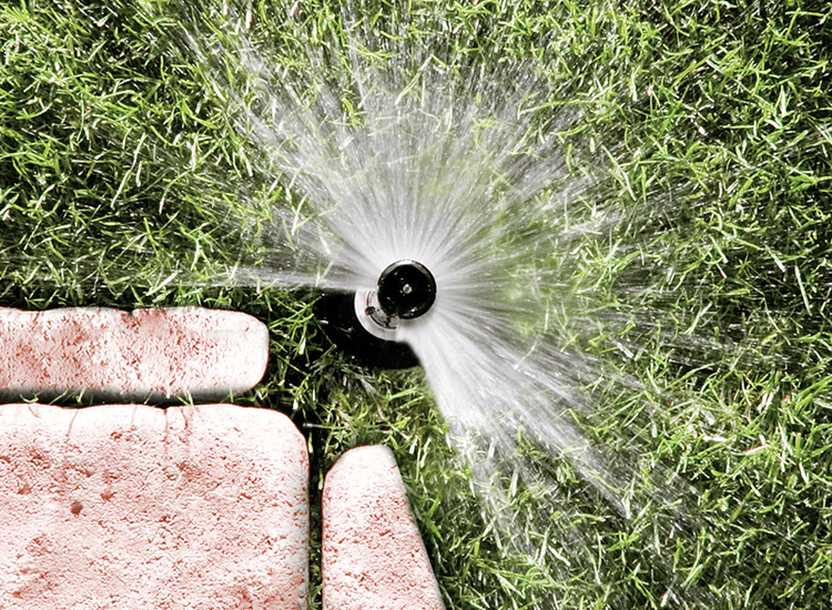 Sistema automatizado de riego, una decisión inteligente.