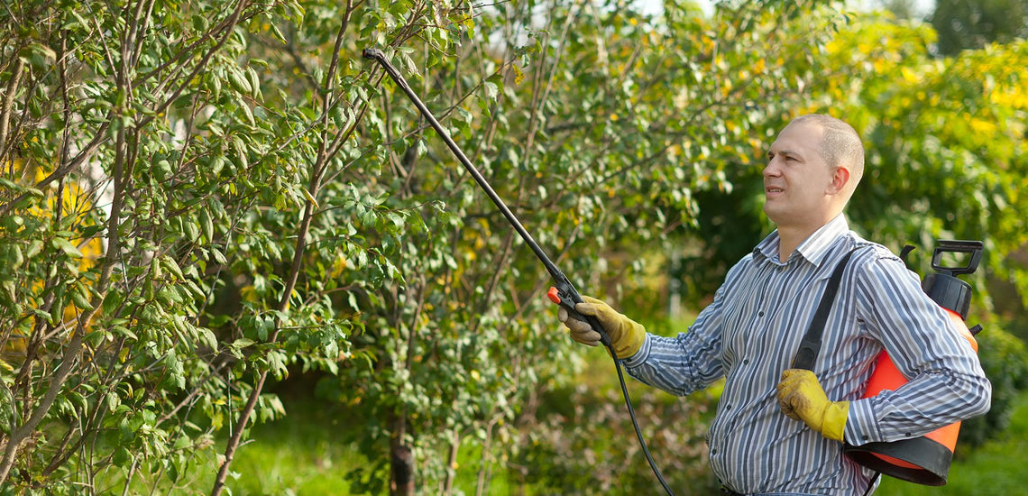 Dile adiós a la “mala hierba” en tu jardín.